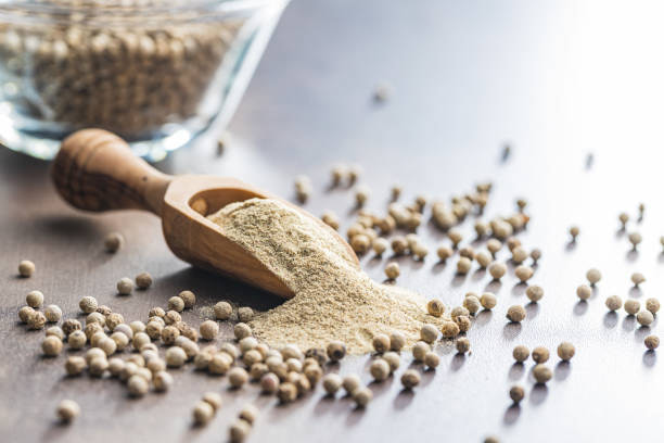 خرید تخم گشنیز خوب + قیمت فروش استثنایی